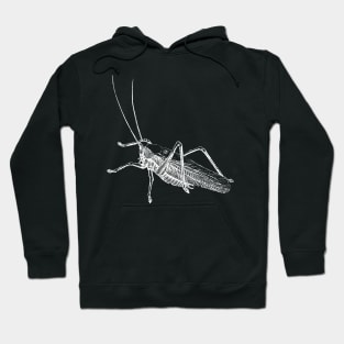 Dramabite Vintage grasshopper illustration Hoodie